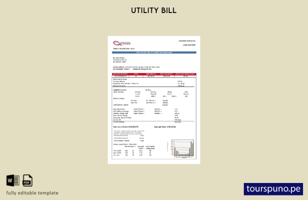 lista para imprimir la plantilla de factura de servicios públicos de electrici 6